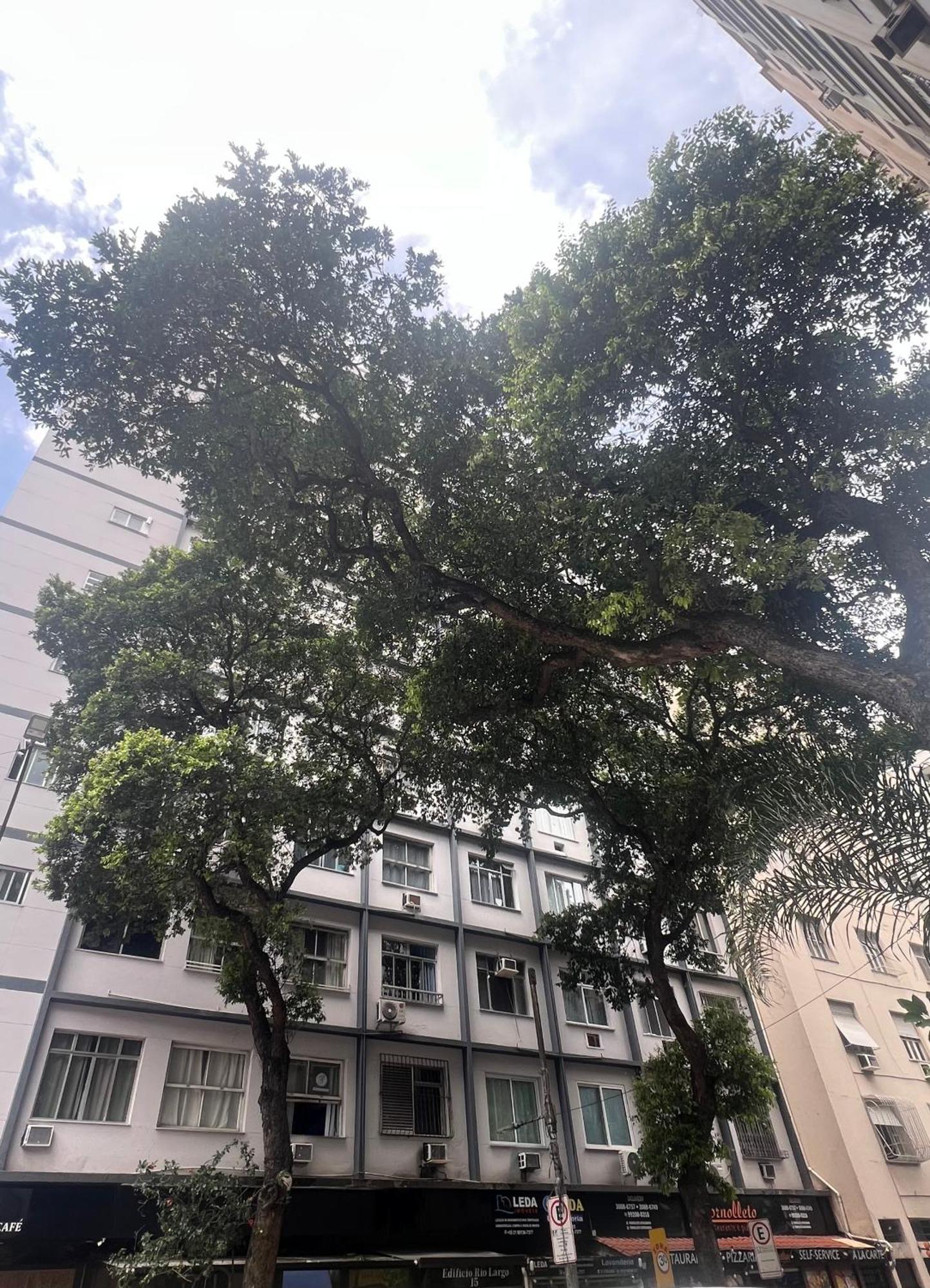 Appartamento Moderno Em Copacabana Otimo Lugar *